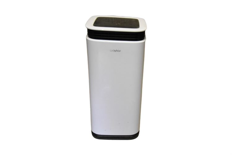 WAYKAR Dehumidifier