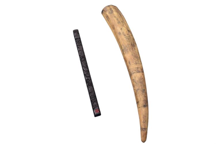 Carved Decorative Walrus Tusk and Stick