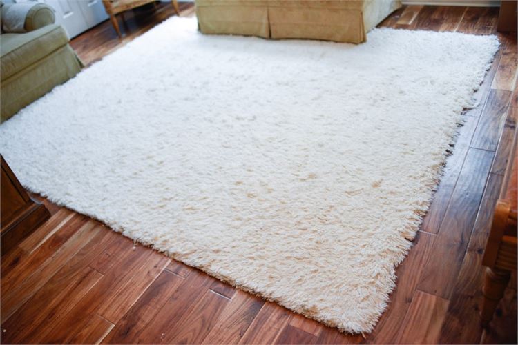 Shag Rug