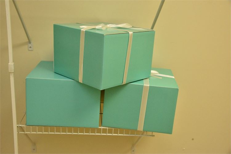 Two (2) TIFFANY & CO. Boxes