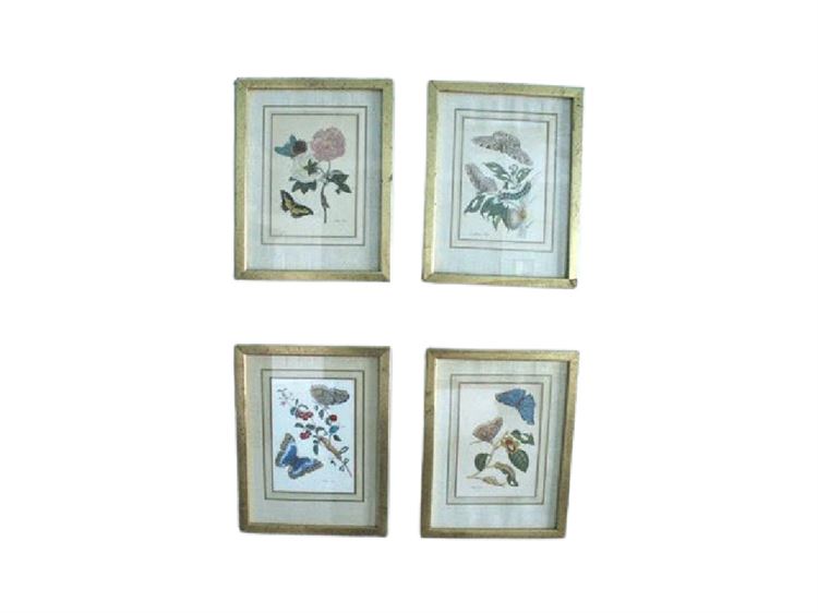 Four (4) Botanical Prints