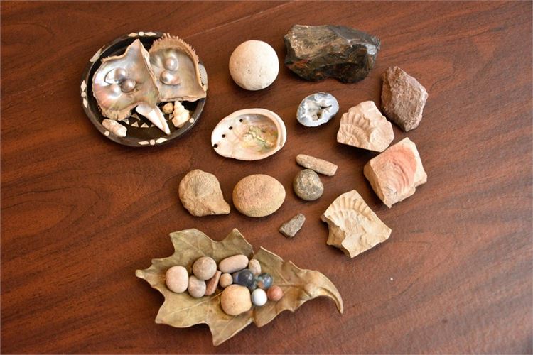 Collection Of Stones and Seashells