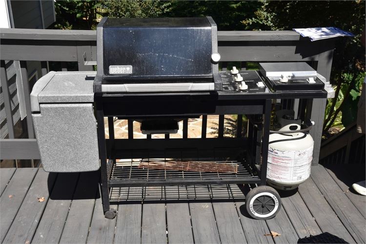 WEBER Gas Grill