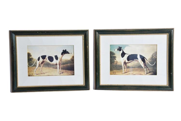 Pair Framed Greyhound Prints