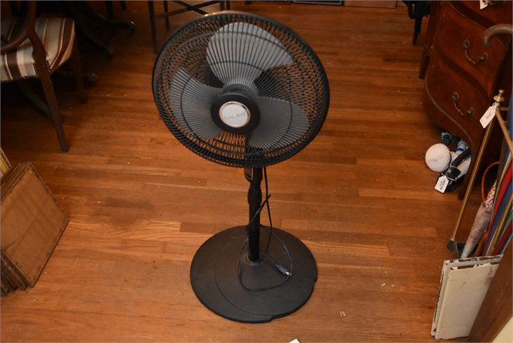 Electric Fan