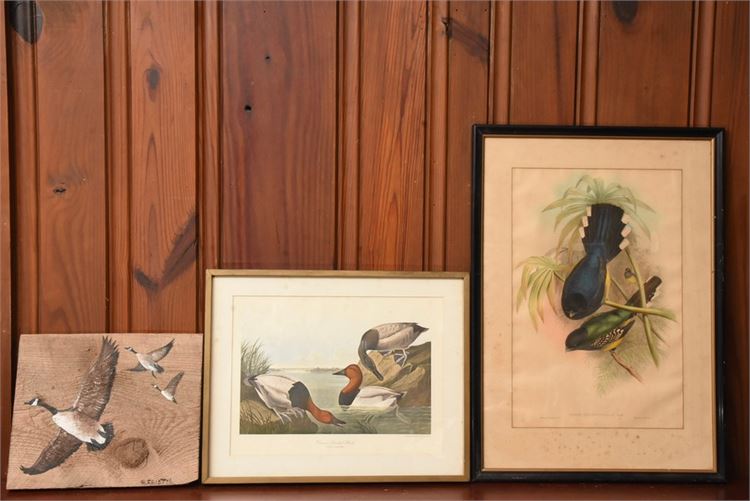 Three (3) Framed Bird Prints