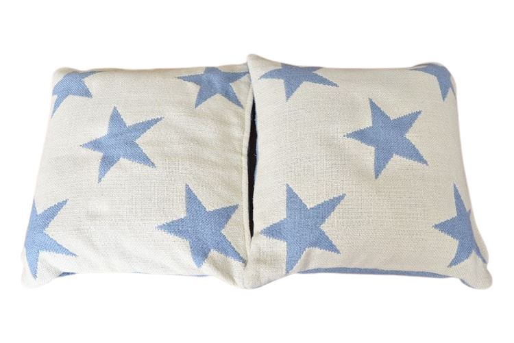 2, 24”sq Annie Selke woven pillow cases in cream and French blue