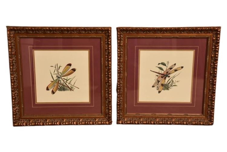 Pair Framed Wildlife Prints