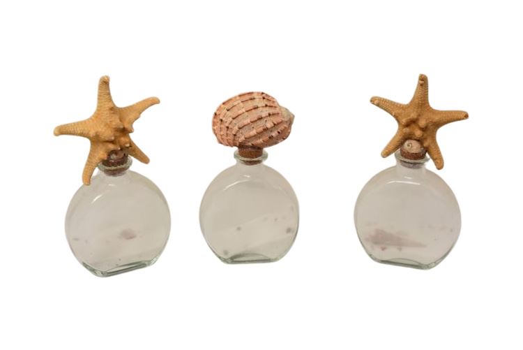 Three (3) Seashell Themed Glass Jars