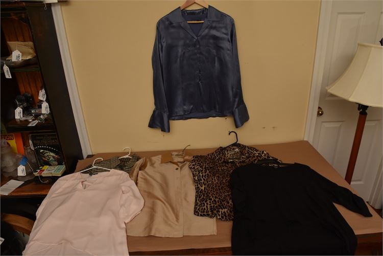 Six dressy blouses, long and short sleeve, Chico (Lrg)