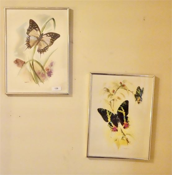 Pair Vintage Butterfly Prints