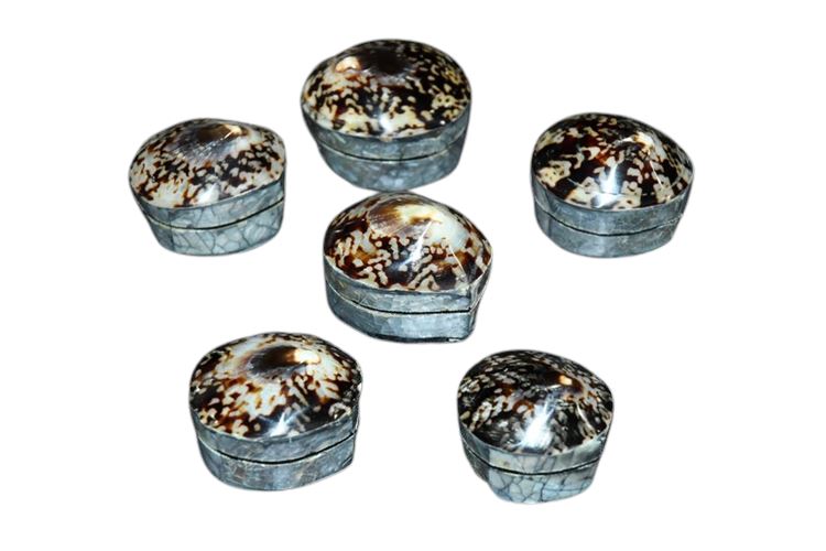 Group Trinket Boxes