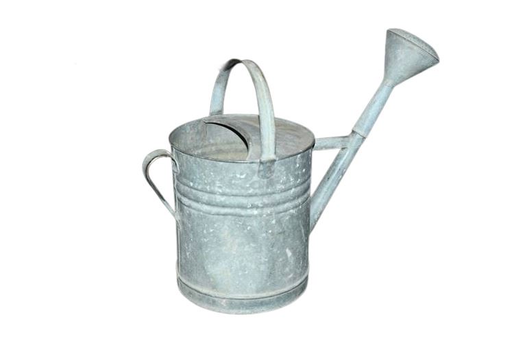 Metal Watering Can