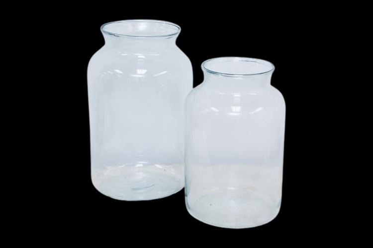 Two (2) Glass Vases