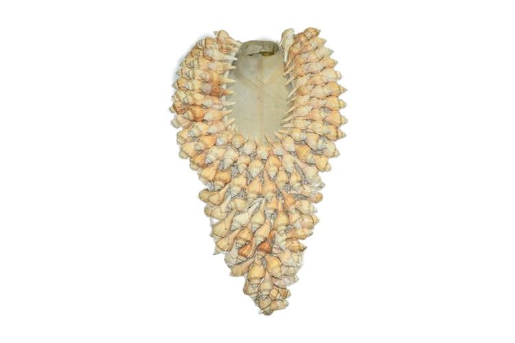 Large Seashell Necklace