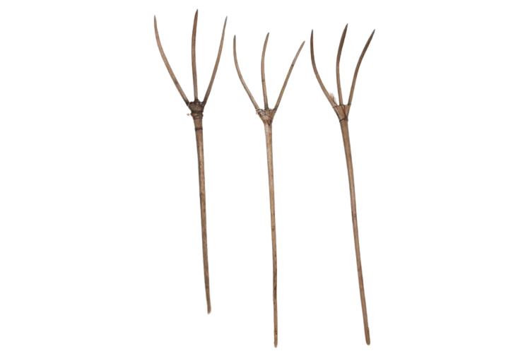 Three (3) Primitive Pitchforks