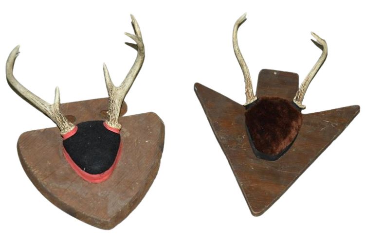 Two (2) Horn Mounts