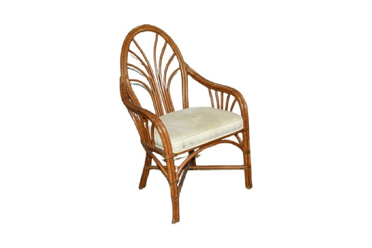 Rattan Armchair With Cushion