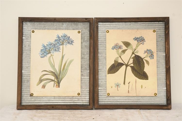 Pair Botanical Prints