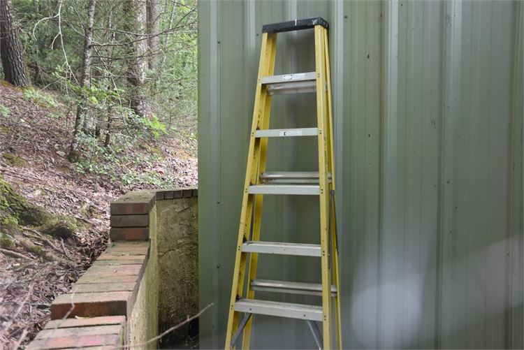 9 Foot Ladder