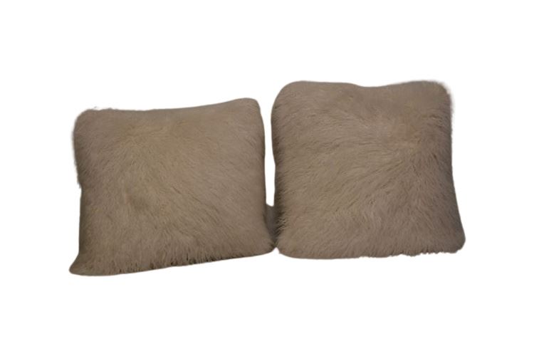Pair Decorative Pillows