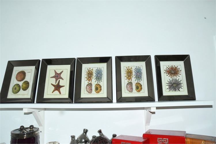 Five (5) Decorative Prints