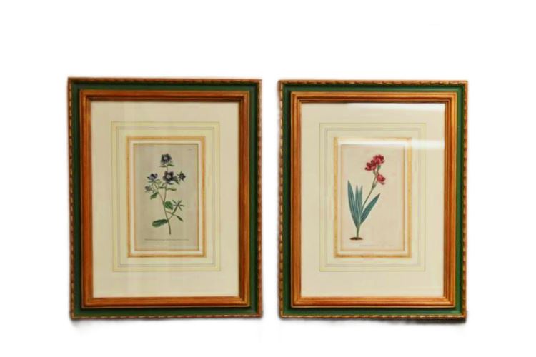 Pair Framed Floral Prints