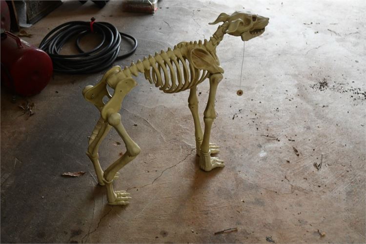 Faux Dog Skeleton