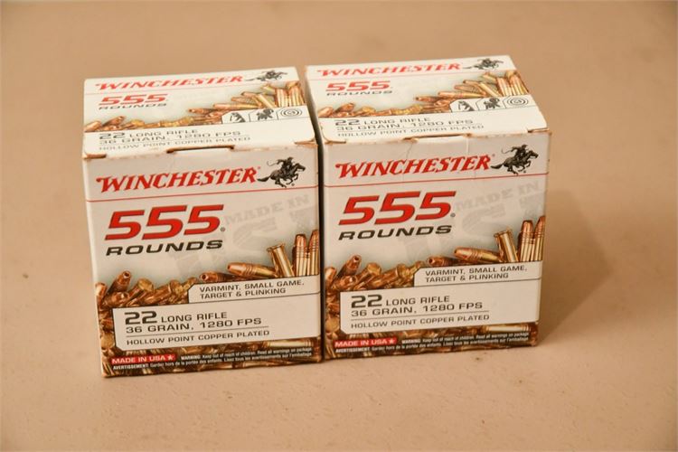 Winchester .22 Long Rifle Ammo