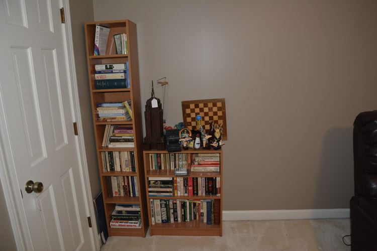 Two Shelves with Books only