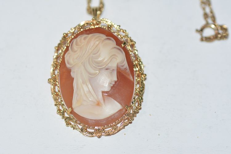 14K Gold and Shell Cameo Pin/Necklace