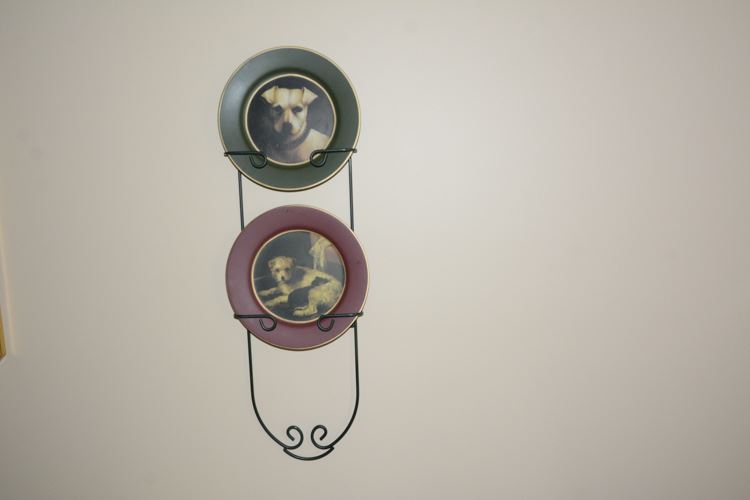 Two (2) Decorative Plates on Hanging Metal Rack