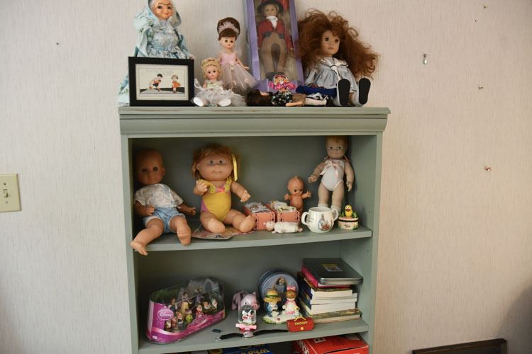 Doll Collection On Shelf ( not shelf)