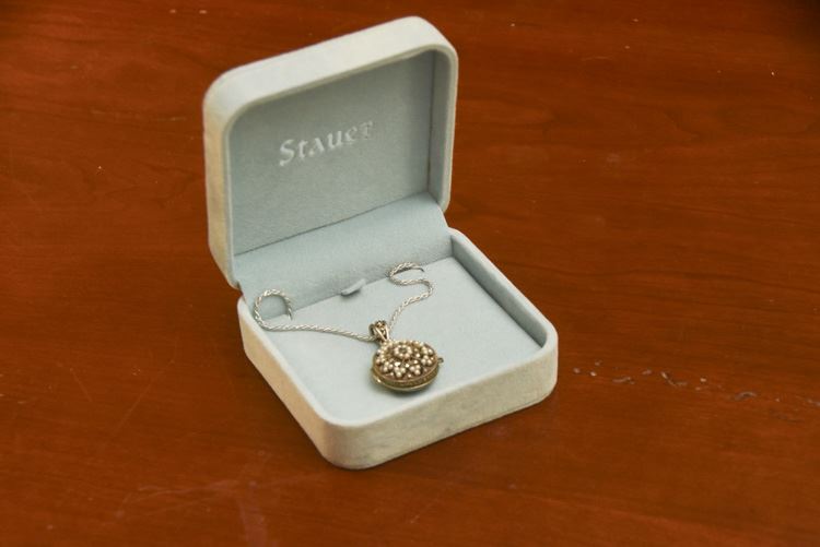 Stauer Sterling Necklace and Pendant