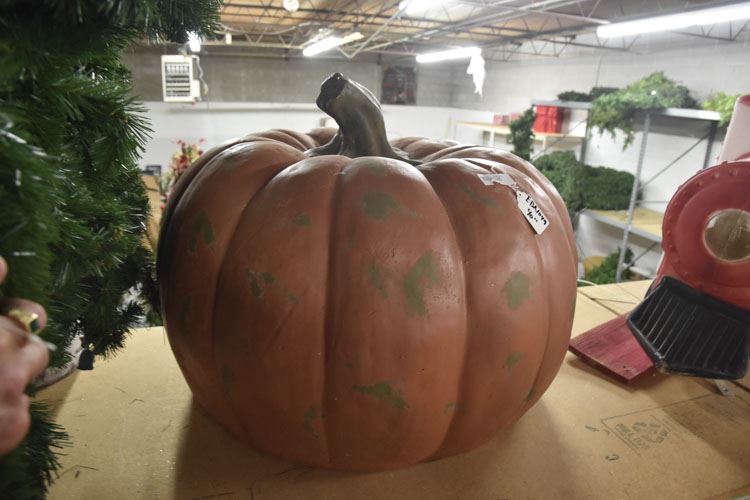 Extra Large Pumpkin