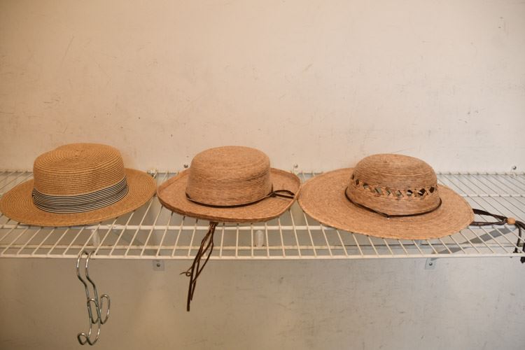 Three (3) Straw Hats