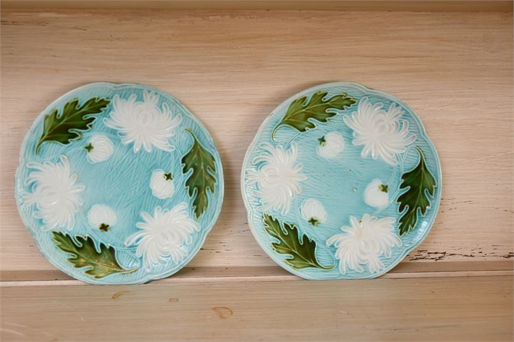 Two (2) Majolica Plates