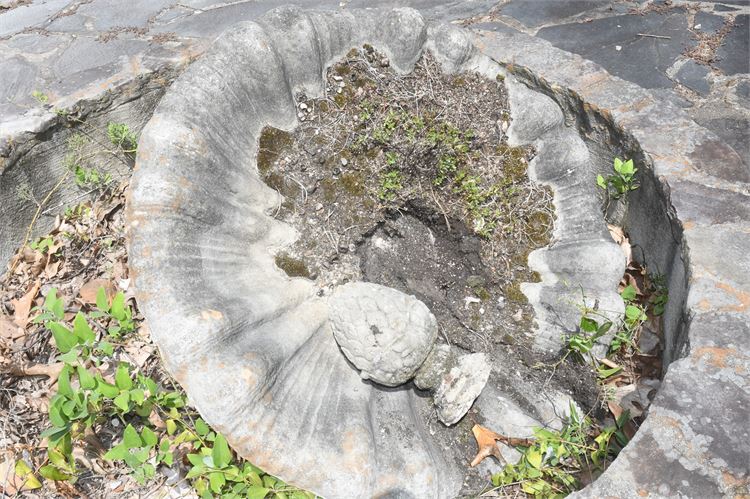 Concrete Fountain and Bird Bath