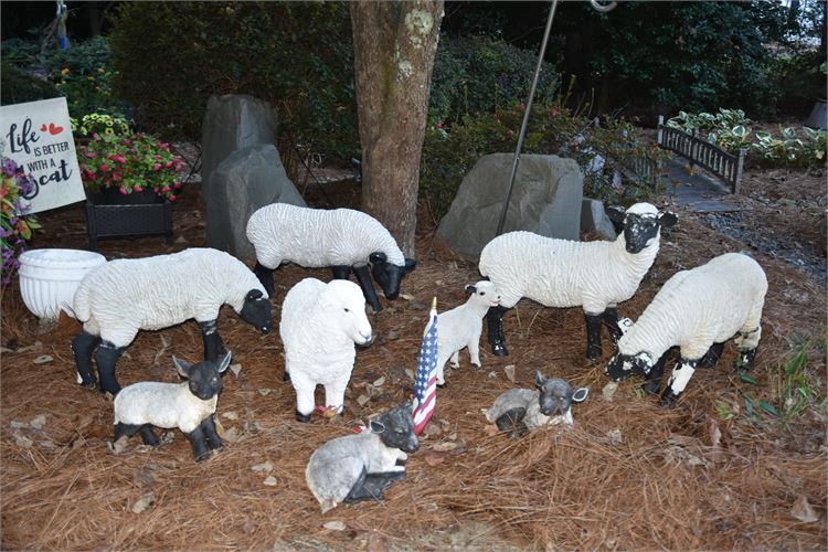 Flock of Yard Sheep { Hollow Composition)