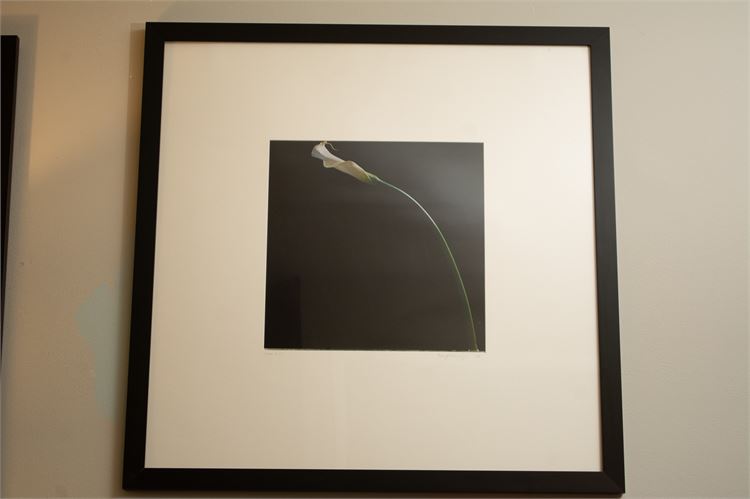 Framed William Nieberding Photograph