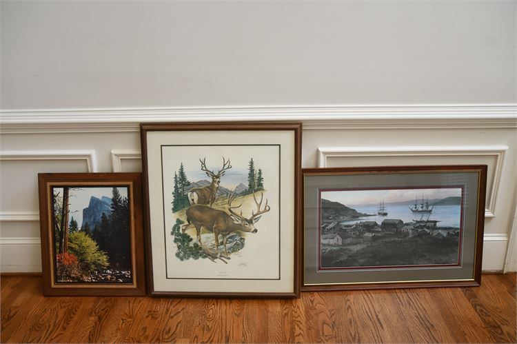 Three Framed Prints