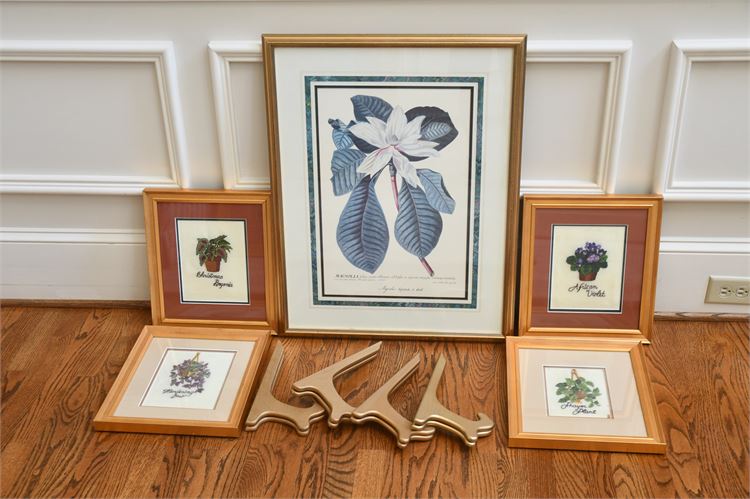 Framed Prints and Stands