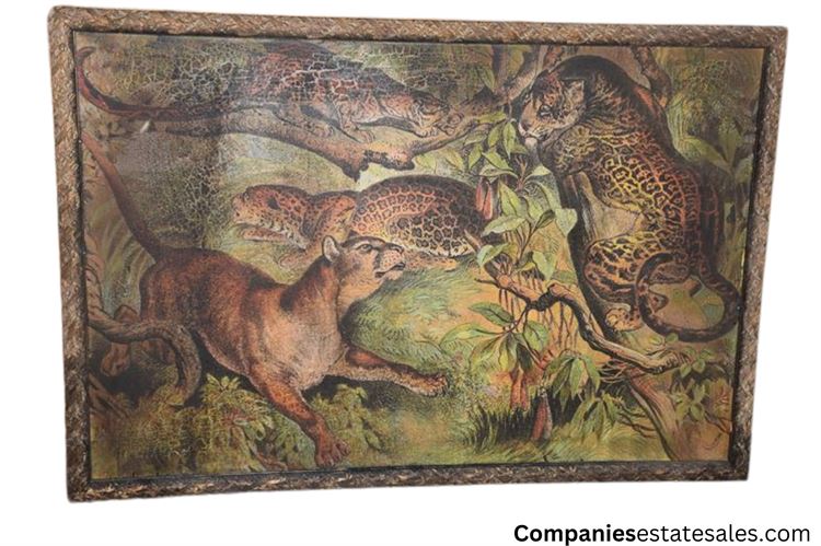 1880 Henry J Johnson Panther Cougar Jaguar Plate IX Carnivora Art Print Matted