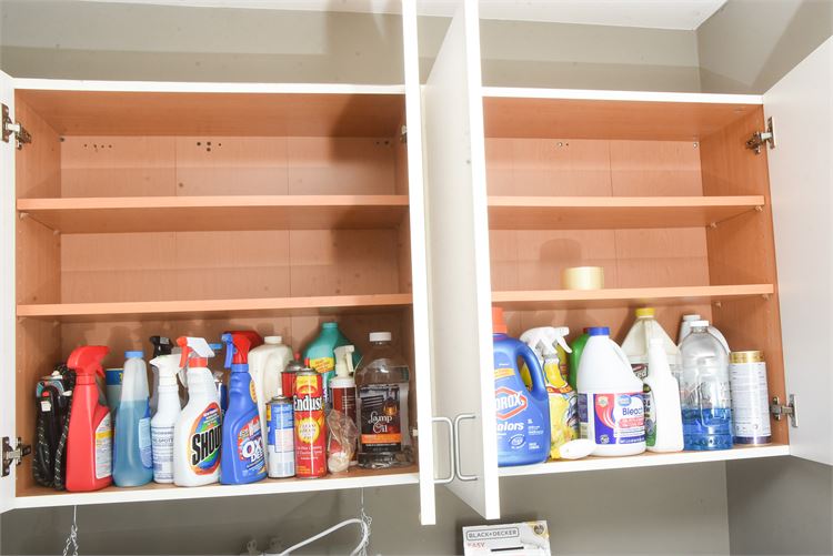 Various Cleaning Supplies