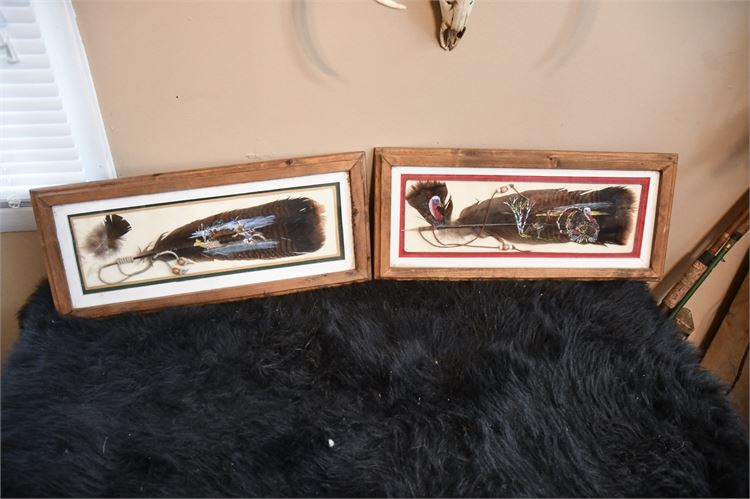 Two (2) Framed Feather