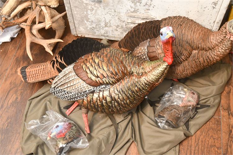 Wild Turkey Decoy