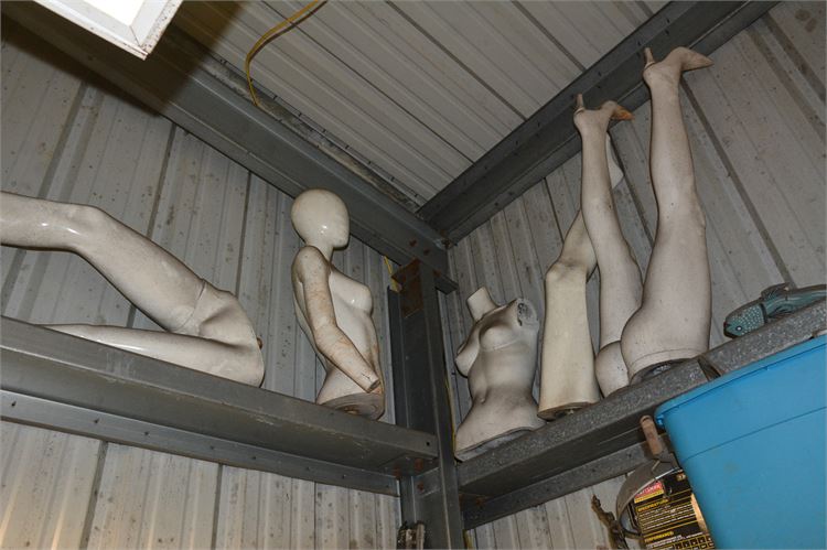 Mannequin Figures