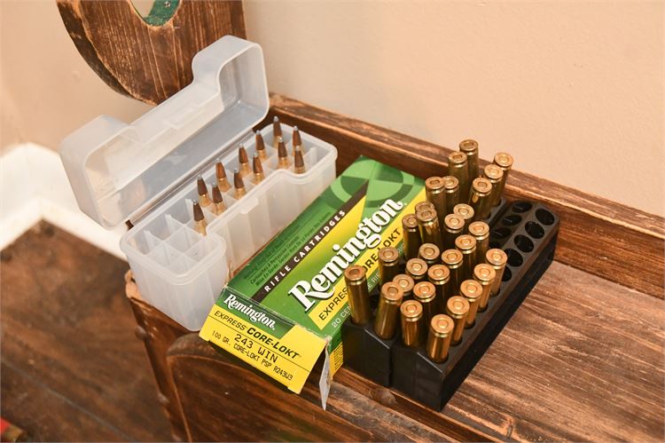 Remington Rifle Ammo