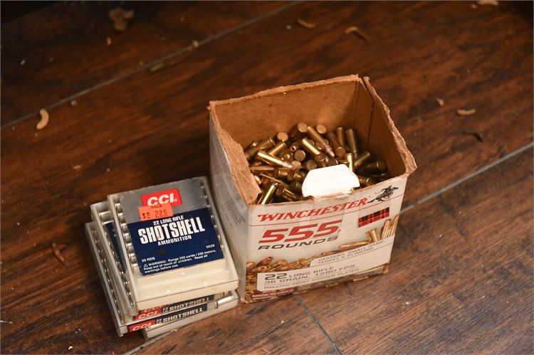 22 Long Ammo and Shotshell