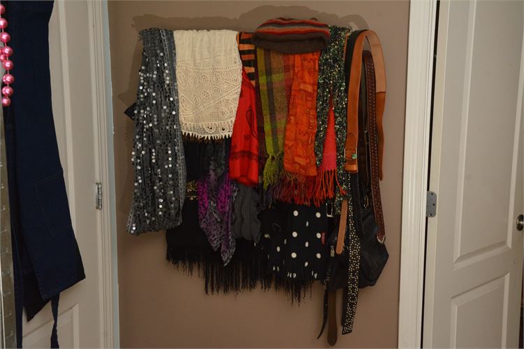 Several Scarves, Belts, and Purse